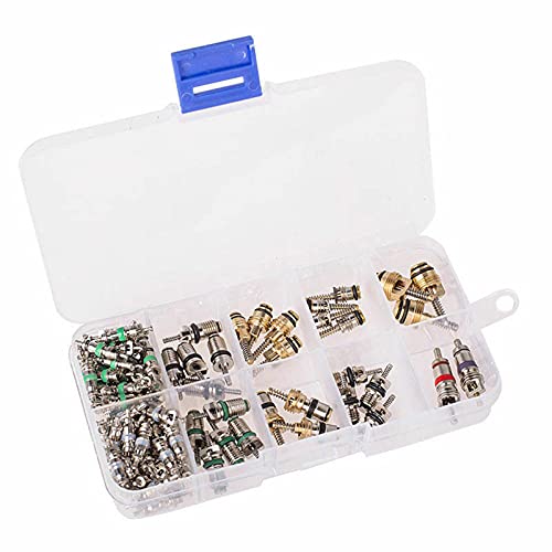 SLPB 102Pcs Car R134a / R12 A/C Ar Condicionado Valve Core & Kit de ferramentas removedor 1/4 '' 5