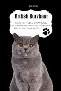 British Kurzhaar: Haltung, Pflege, Ern&auml;hrung, Besch&auml;ftigung und das Wesen der British Kurzhaar Katze