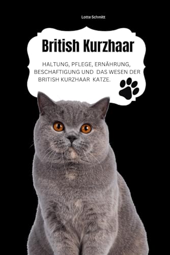 British Kurzhaar: Haltung, Pflege, Ernährung, Beschäftigung und das Wesen der British Kurzhaar Katze