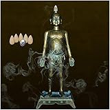 LUCKFY Modelo de acupuntura Humana - Modelo de acupuntura de Incienso de Flujo Posterior - para la Sala de Medicina China en Decoraciones de farmacias Medicina China Regalos culturales