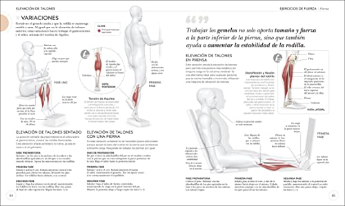 Entrenamiento de Fuerza: Mejora Tu Tã(c)Cnica, Evita Lesiones, Perfecciona Tu Entrenamiento