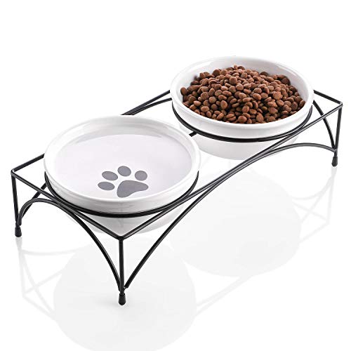 10 Best Whisker City Cat Food Bowls