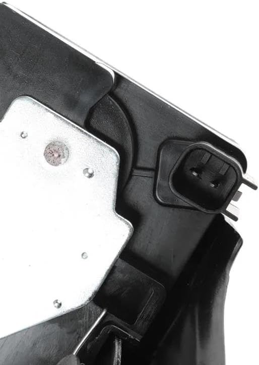 掛軸 前大徳 大橋香林筆 一行書 「白鶴舞老松」 共箱 C 7722A 道具