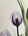 HLJ ART 4 Panel Elegant Tulip Purple Flower Canvas Print Wall Art Painting For Living Room Decor And Modern Home Decorations Photo Prints 12x12inch (Purple S)