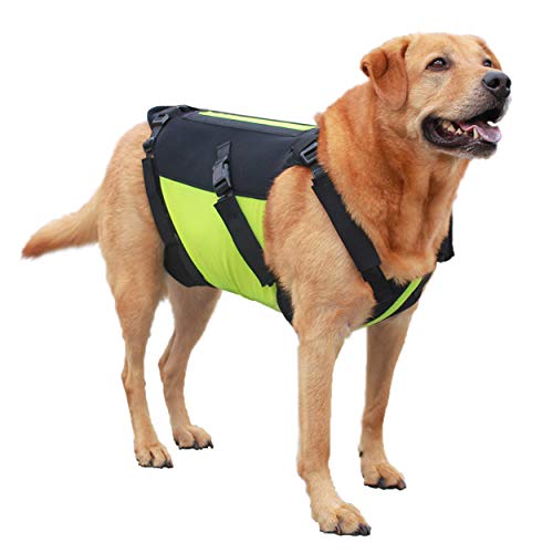 vertebraVe Dog Back Brace | Helps Dogs with Arthritis, Back Pain, Post Surgical