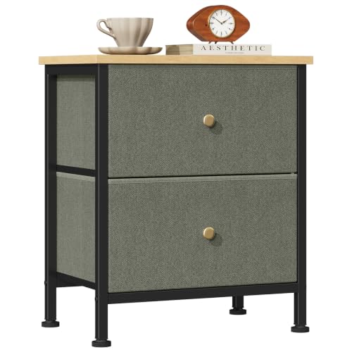 Sweetcrispy Night Stand with 2 Fabric Storage Drawers, Bedside Table