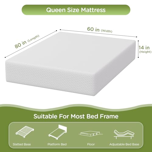 Image of PayLessHere | 14 Inch Queen Mattress | Medium Firm Base Foam Mattress