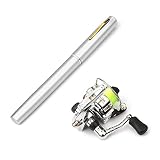 YIXIN2013SHOP Angelruten Mini-Taschen-Feder-Form-Aluminiumlegierung Angelrute Tragbare Baitcasting Ruten Pole Angelrolle Set Combos Angelgeschenke (Color : Silver, Length : 1M)
