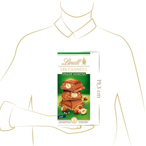 LES GRANDES PRALINÉ LAIT NOISETTES Tablette 225 g (Lot de 2)