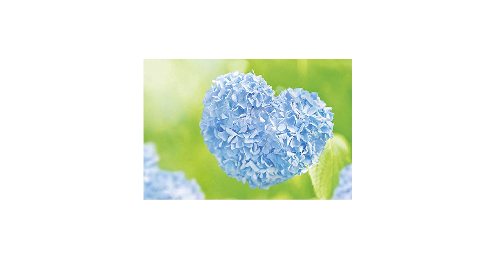 新品未使用/潜在異色DVD3巻セット/付属のポストカード付 3Dポストカード スター・ウォーズ エピソード8/最後のジェダイ