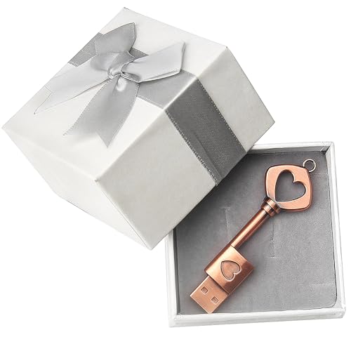 Clé USB 2.0 métal 32 Go pour sauvegarder vos photos de vacances sur PC