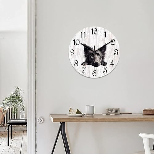 Reloj de pared de pastor belga para decorar salones y cocinas 8