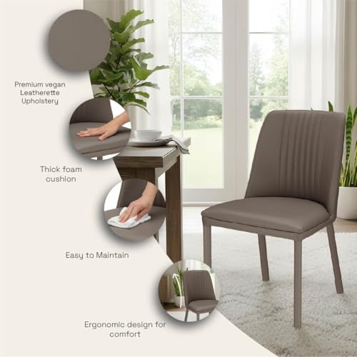 Image of Wakefit Taco Metal Dining Chair I Set of 2 I Leatherette Grey