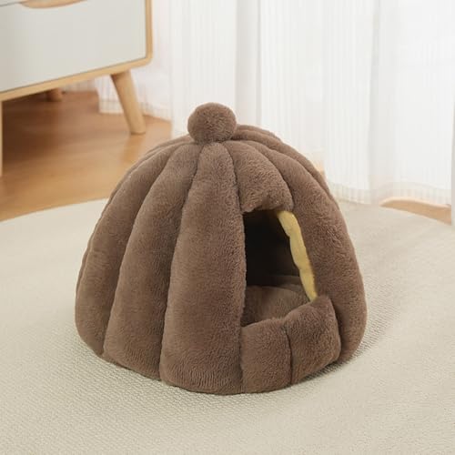 [ADSNS] ybgxbh L ybg xbh h[nEX ybgpiۉh 􂦂 ΍ XL ~  J[3  薰 ybgpxbh LnEX h[^ ybg xbh  H~ ybgxbh ~ 􂦂