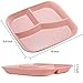 Nicunom 8 Pack Unbreakable Divided Plates, 10 Inch Portion Control Plates, Reusable 3-Compartment Dinner Plate For for Healthy Eating & Bariatric Diet, Microwave And Dishwasher Safe