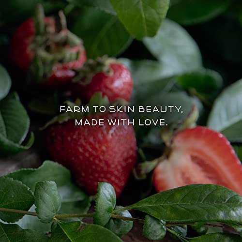 Farmstead Apothecary 100% Natural Anti-Aging Face Cream With Jojoba Oil, 4 Oz (Strawberry Gardenia) #TOP7