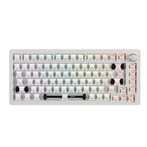 Clavier gaming mécanique compact TKL 75% avec câble USB détachable