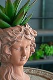 8"x9"x11.5" Greek Style Cement Head Bust Planter – Indoor Outdoor Decorative Flower Pot for Home and Garden, Brown