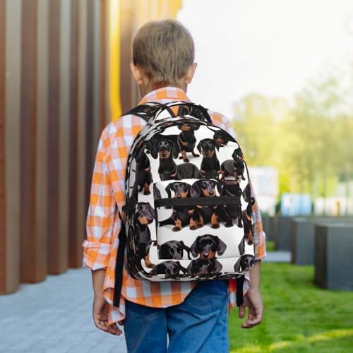 Sac à dos pour ordinateur portable imprimé teckel résistant pour éviter les chocs en voyage