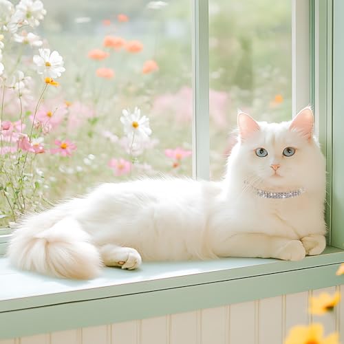 Rosa Strasssteine Welpenhalsbänder Strass Hundehalsband, Glitzer Kristall Steine MäDchen Halsband Kleine Hunde Klein Katze Einstellbar Soft Kitten Hundehalsband mit Strasssteinen besetzt für Haustiere