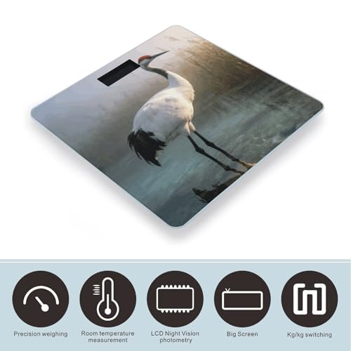 Báscula Digital Majestic Crane para Hogar hasta 180 kg miniatura 3