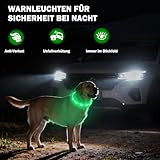 Nepfaivy Leuchthalsband Hund USB Aufladbar - Wasserdichtes Hundehalsband Leuchtend mit Verstellbarer Länge, LED Halsband für Hunde mit 4 Beleuchtungsmodi für Sicherheit, Grün