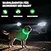 Nepfaivy Leuchthalsband Hund USB Aufladbar - Wasserdichtes Hundehalsband Leuchtend mit Verstellbarer Länge, LED Halsband für Hunde mit 4 Beleuchtungsmodi für Sicherheit, Grün