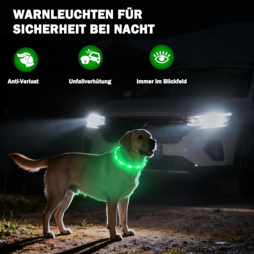 Nepfaivy Leuchthalsband Hund USB Aufladbar - Wasserdichtes Hundehalsband Leuchtend mit Verstellbarer Länge, LED Halsband für Hunde mit 4 Beleuchtungsmodi für Sicherheit, Grün