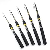 Lerutwis 0,9–2,1 m Teleskop-Angelruten aus Kohlenstoffstahl, Eisrute, Kurze, tragbare Reise-Spinnrute, Köder, Fischgerät, multifunktionale Meeresruten(Spinning-165)