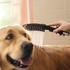   hansgrohe-Outdoor-Pet-Shower-with-Quick-Connect-3-Spray-Fur-Spray-Leg-Spray-Paw-Spray-in-Black-04973670