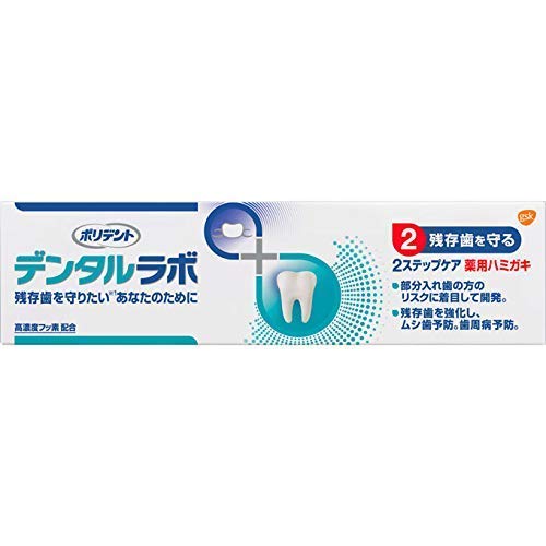 [Earth Pharma] Polydent Dental Lab Medicinal Toothpaste 100g x 3 pieces