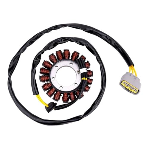 Bobina del estator de alto rendimiento para S1000RR y M1000RR
