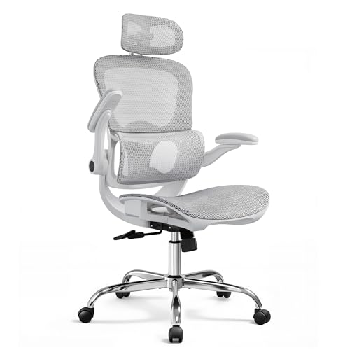 DEVAISE Chaise de Bureau Ergonomique, Fauteuil de Bureau avec Dossier Segmenté, Fauteuil de Bureau Grande en Maille Respirante, Support Lombaire &...