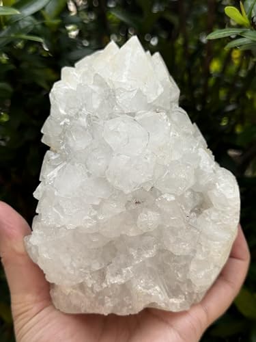 Image of GAF TREASURES Chalcedony & Crystal Quartz Stalactite 3-8 inch, Natural Quartz on Chalcedony Stalactite Specimen (3-4 lb)