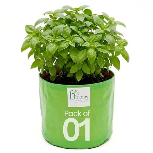 Image of Bio Blooms Round HDPE Plant Grow Bag for Terrace & Kitchen Gardening | Pack of 1 | 18x18 | 200 GSM Heavy Duty Outdoor Grow Bag | Durable Planter for Vegetables, Flowers & Plants | Green & Orange