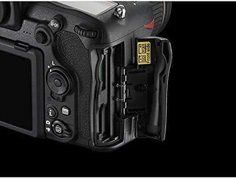 Nikon D500 DX-Format Digital SLR with 16-80mm ED VR Lens