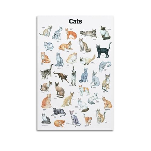 XKUGA Poster zur Identifizierung von Katzenrassen, dekoratives Gemälde, Leinwand, Wandposter und Kunstdruck, modernes Familienschlafzimmer, Dekoration,...