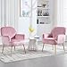 E-Motie Velvet Accent Chair, Modern Upholstered Single Sofa Side Living Room Chair, Comfy Barrel Reading Armchair with Metal Legs for Bedroom, Waiting Room, Office and Cafe, Pink