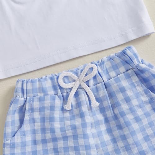 Image of Toddler Baby Boy Easter Rabbit Outfit Short Sleeve Bunny Carrot Smocked T-shirt Elastic Waist Shorts Summer Clothes