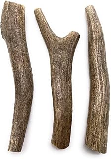 Deer Antlers for Dogs, Premium, Grade A, Deer Antler Dog Chew, Long Lasting Dog Treat for Your Pet. from The USA (3-Pack (5-6