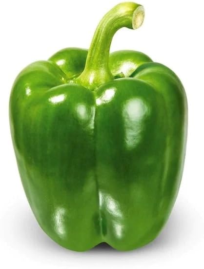 Willvine Green Capsicum/Bell Pepper-VOX-9B-image-38