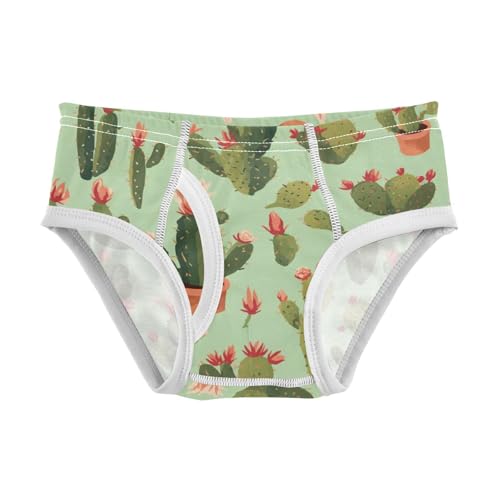 KLL Western Cactus Plant Plants Sage Toddler Boys Soft Boxer Briefs Cute Children Undies