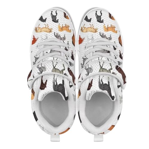 Kids Active Trainers Running Shoes for Girls Boys Sports Sneakers3