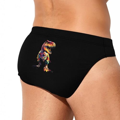 Colorful Dinosaurs Mens Swim Briefs Bikini Sexy Low Rise Trunks Swimsuit Bathing Suit Beach3