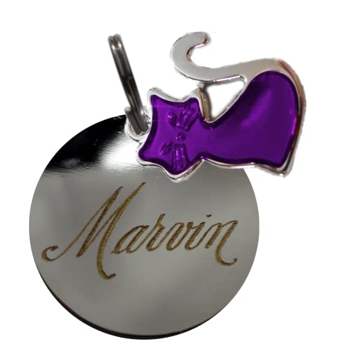 Coleira Elástico com Plaqueta Identificação Personalizado Nome e Telefone Para Gatos COR DAS COLEIRA