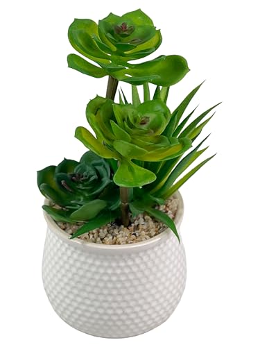 Image of Artificial Succulent Plant in White Ceramic Pot, Realistic Faux Greenery for Home Office Desk Tabletop Decor, Low Maintenance Long-Lasting Indoor Decorative Plant (A)