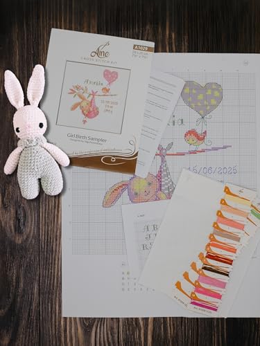 Image of Aine - Girl Birth Sampler A1029, Baby Girl Birth Record Announcement Cross Stitch Kits 7 inchx7, Cross Stitch Kits for Beginners & Advanced, Crossstitching Kit Adult, Embroidery Counted Stitching Kit