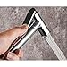 Handheld for Toilet Brass Chrome Baby Cloth Diaper Sprayer with Toilet Paper Holder for Hot and Cold Water Portable Bidet Faucet with Bidet Hose for Feminine Wash