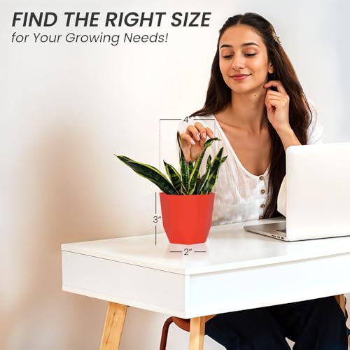 Image of YUCCABE ITALIA SHERA Hexa Plastic Planter Pot for Plants | Decorative Flower Pot | UV Protected Lightweight Indoor Outdoor Gamla for Home Decor, Balcony, Garden & Living Room