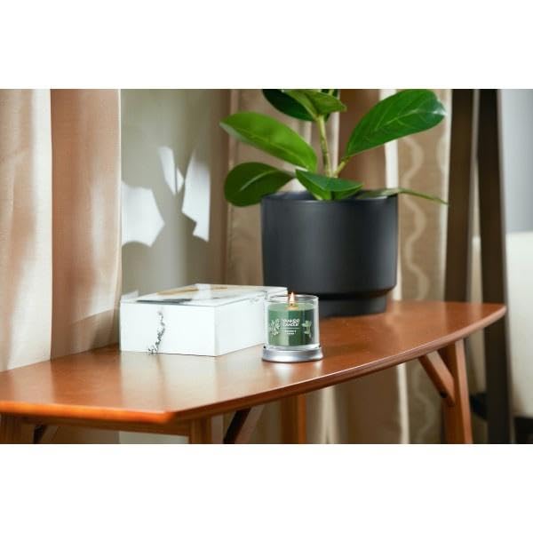 Amazon.com: Yankee Candle Small Tumbler Scented Single Wick Jar